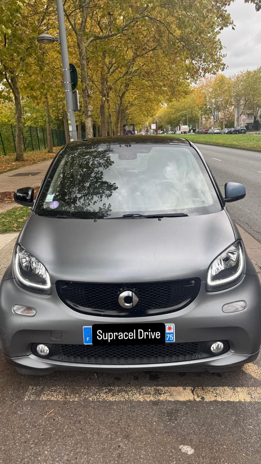 Smart Fortwo Gris Mat